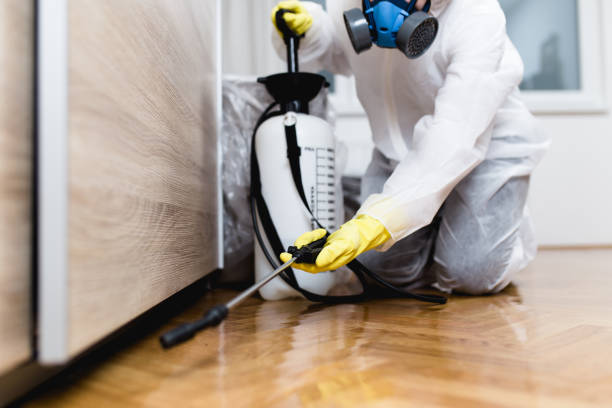 Best Termite Control Services  in Athens, OH