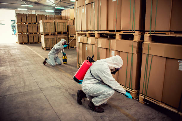 Best Pest Control Near Me in Athens, OH