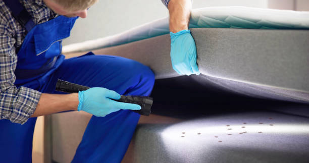 Best Pest Inspection Near Me  in Athens, OH