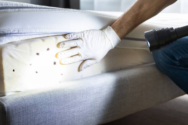 Best Local Pest Control Services  in Athens, OH