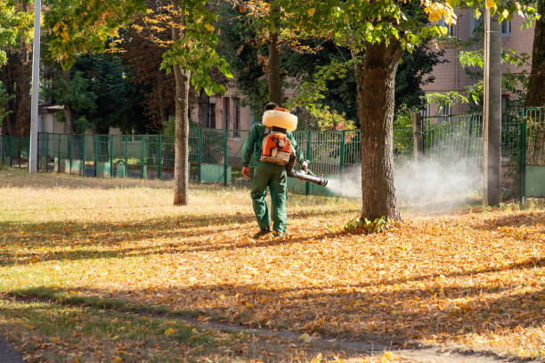 Pest Control Cost in Athens, OH