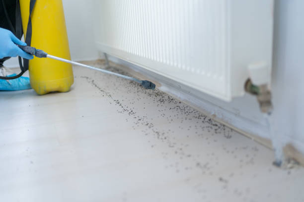 Best Cockroach Control Services  in Athens, OH