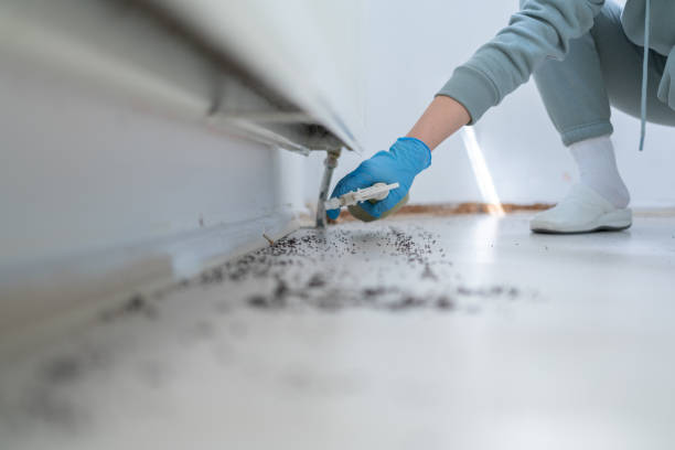 Best Affordable Exterminators  in Athens, OH